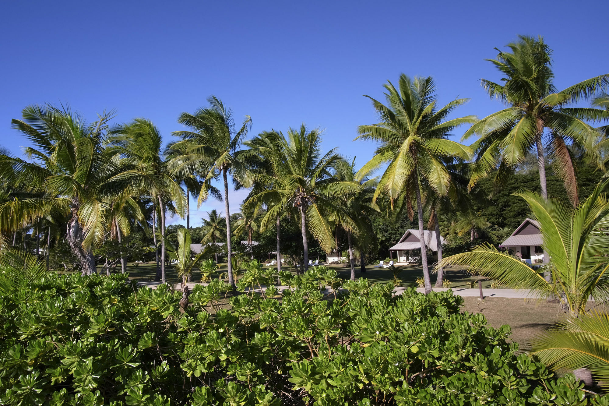 Musket Cove Island Resort Malololailai Eksteriør bilde