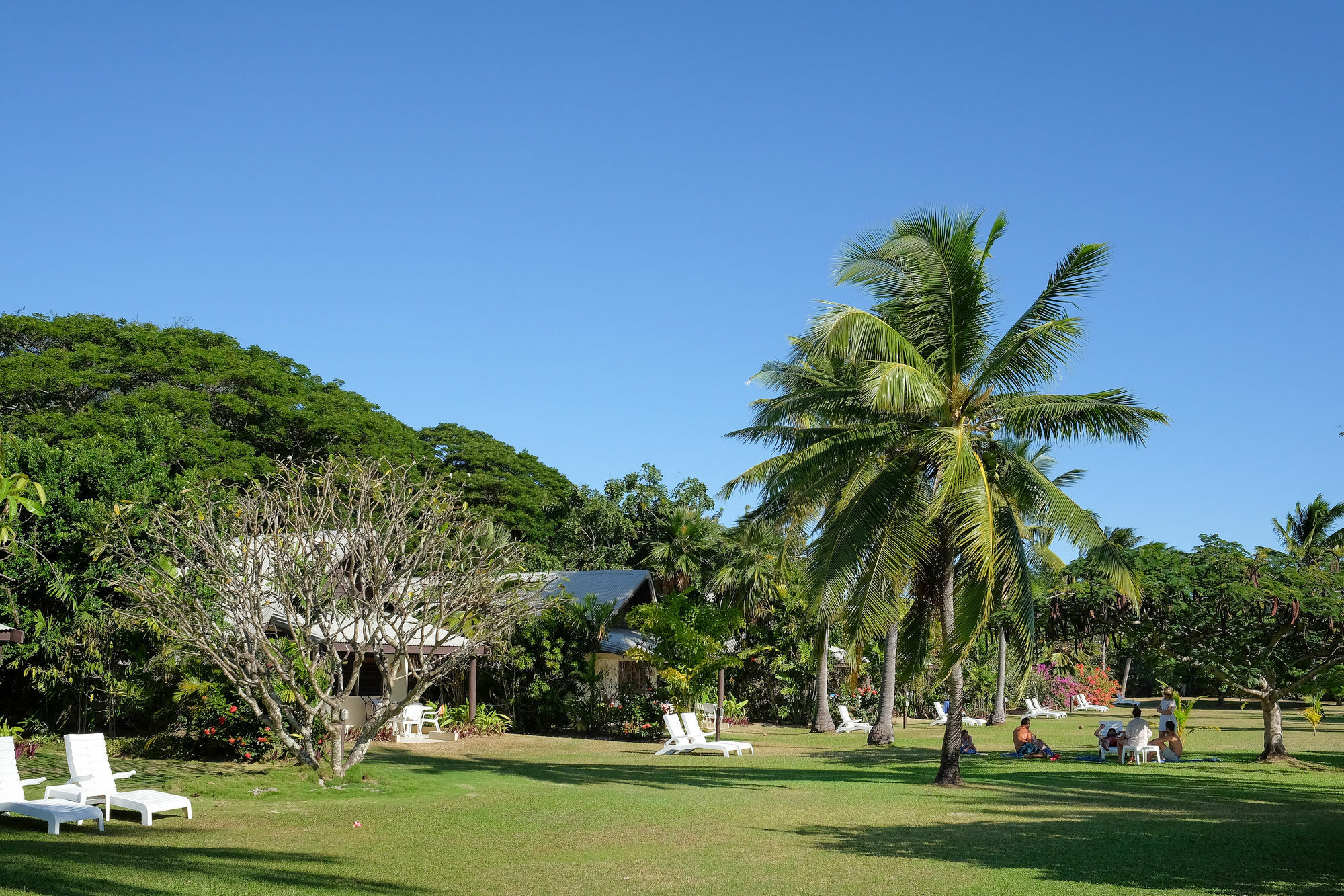 Musket Cove Island Resort Malololailai Eksteriør bilde